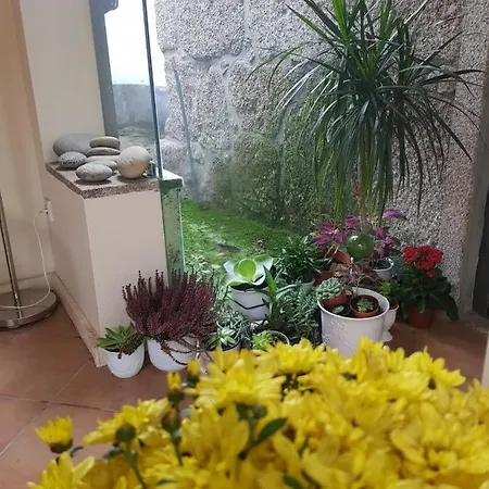 Casa Cerrado Do Cruzeiro Ferienhaus *