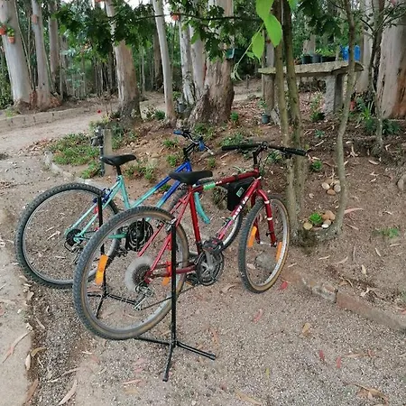 Holiday home Casa Cerrado Do Cruzeiro