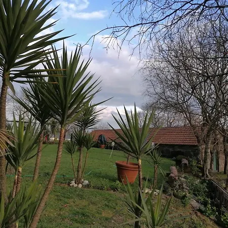 Casa Cerrado Do Cruzeiro Ferienhaus Oliveira (Porto)