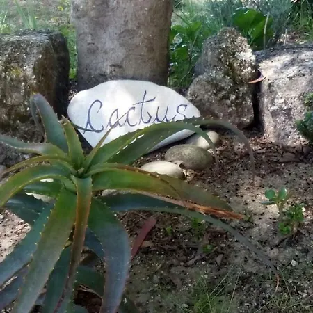 Casa Cerrado Do Cruzeiro Ferienhaus *