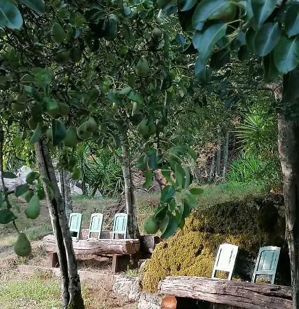Casa Cerrado Do Cruzeiro Ferienhaus Oliveira (Porto)