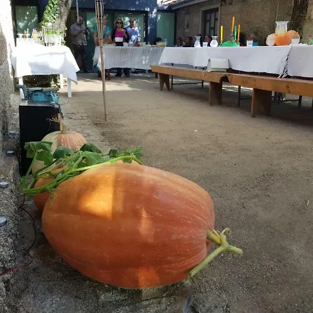Casa Cerrado Do Cruzeiro Ferienhaus